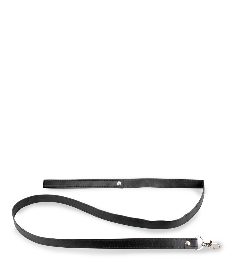 BDSM-Halsband mit Leine