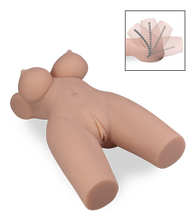 Laden Sie das Bild in den Galerie-Viewer, Beweglicher Masturbator Torso aus TPE Amélia