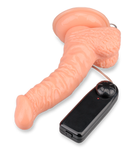 Laden Sie das Bild in den Galerie-Viewer, Dildo-Vibrator mit Aderung und Saugfuß