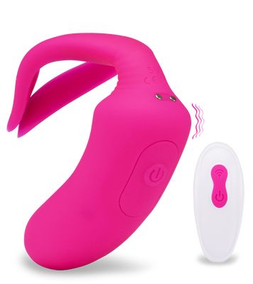 Ferngesteuerter Paarvibrator Danny
