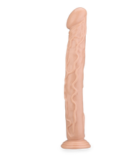 Laden Sie das Bild in den Galerie-Viewer, Großer Saugnapf-Dildo mit Aderung Dustin