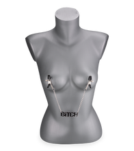 Laden Sie das Bild in den Galerie-Viewer, Verstellbare Nippelklemmen Bitch