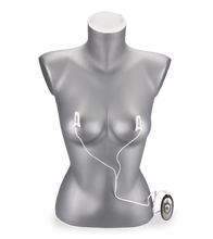 Laden Sie das Bild in den Galerie-Viewer, Zwei Klemmen für Elektrosex
